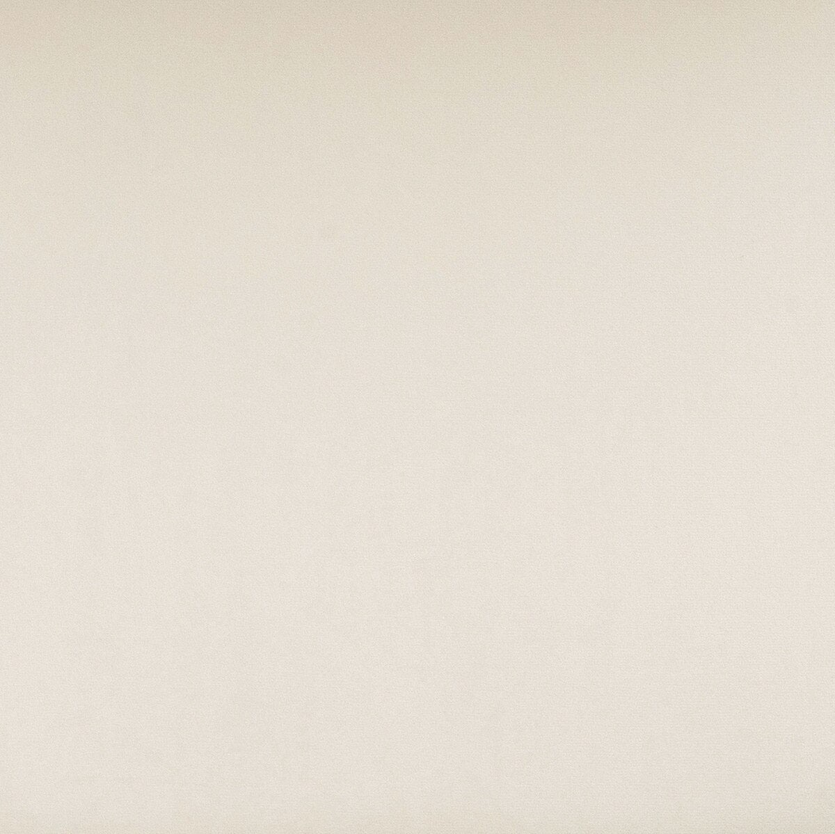 Chaise de salle à manger en velours de couleur crème Calla