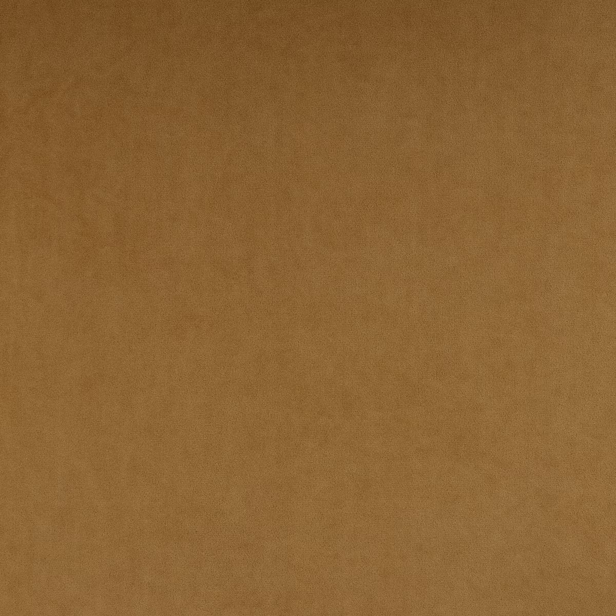 Chaise de salle à manger en velours Performance Cognac Calla