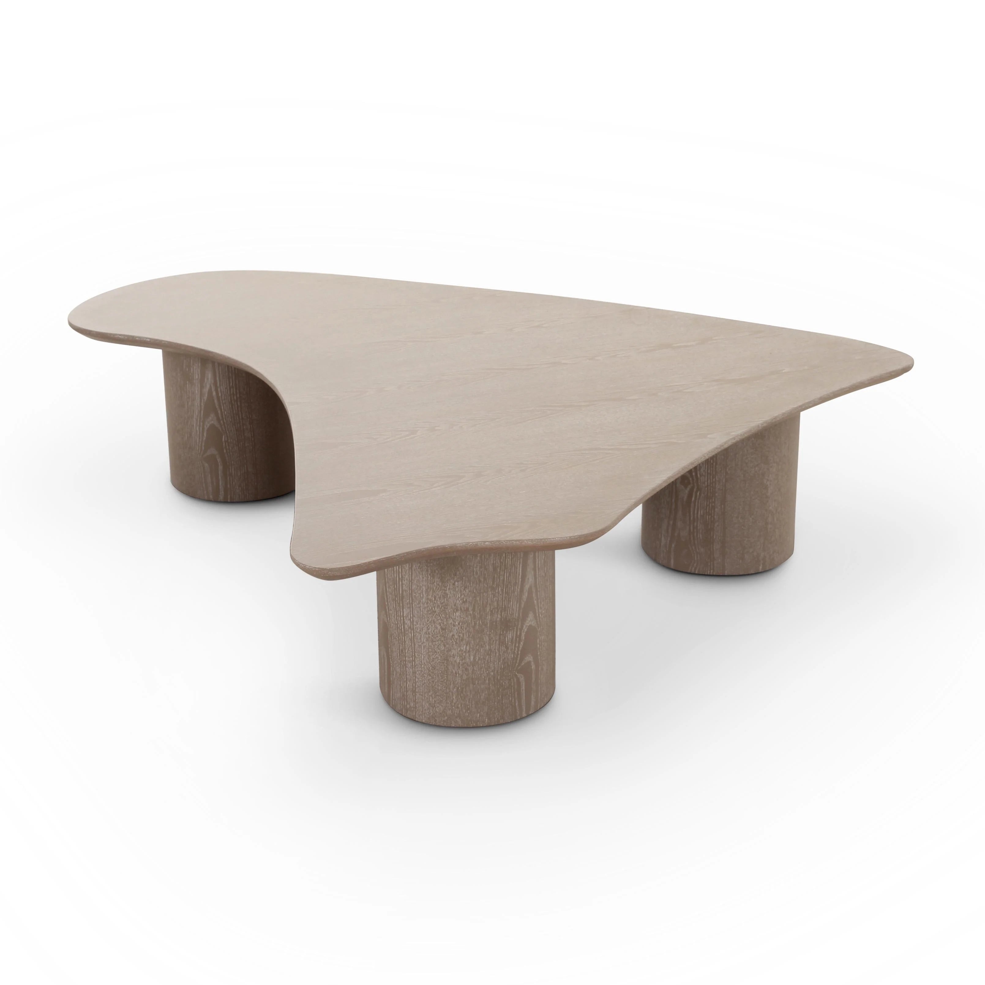 Rhema 55" Washed Ash Organic Low Coffee Table