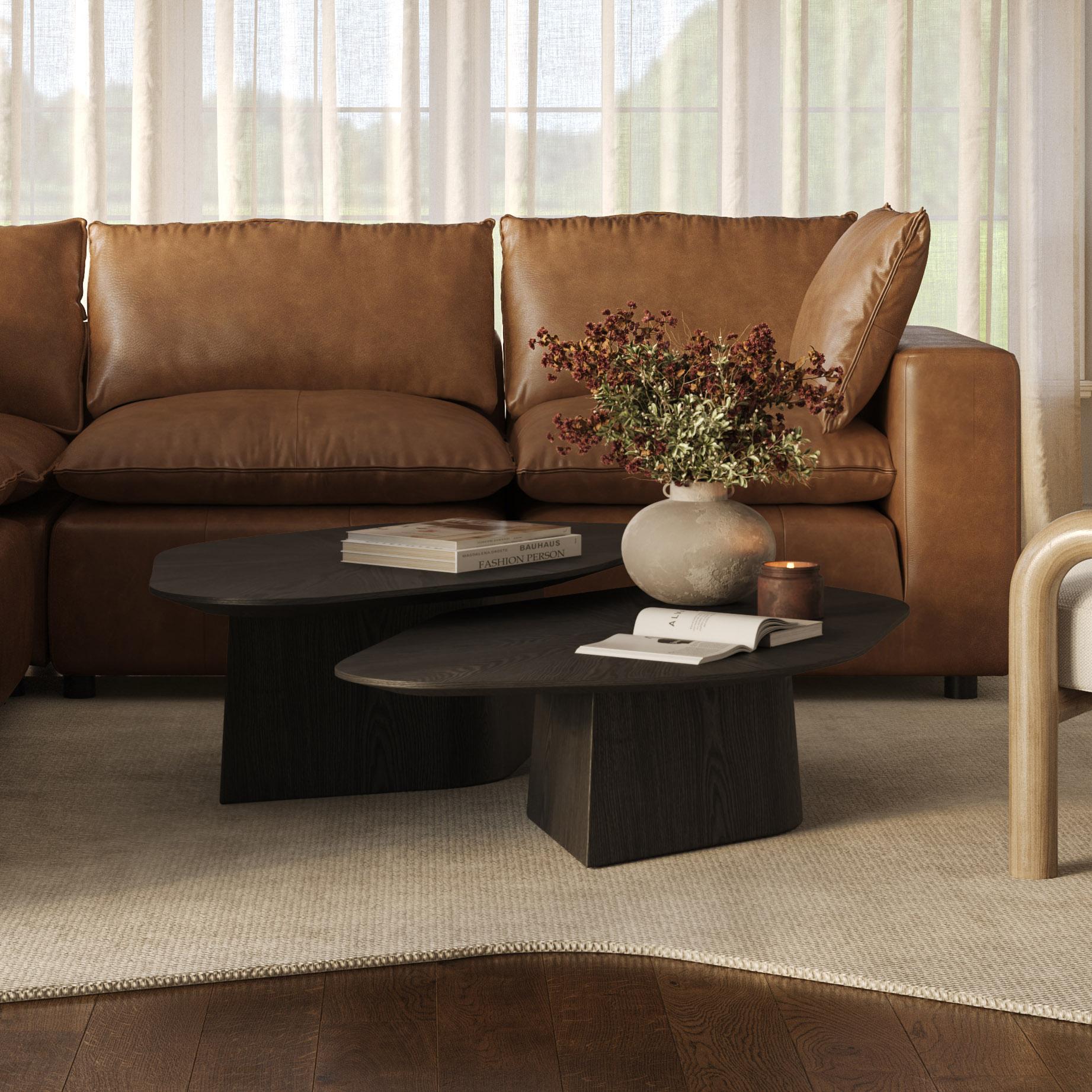 Roche 2-Piece Ash Nesting Coffee Table Set