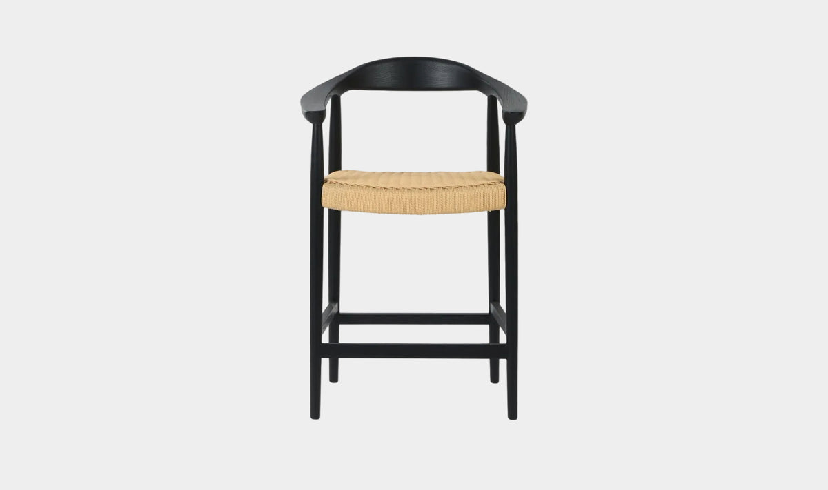 Wynn Counter Stool