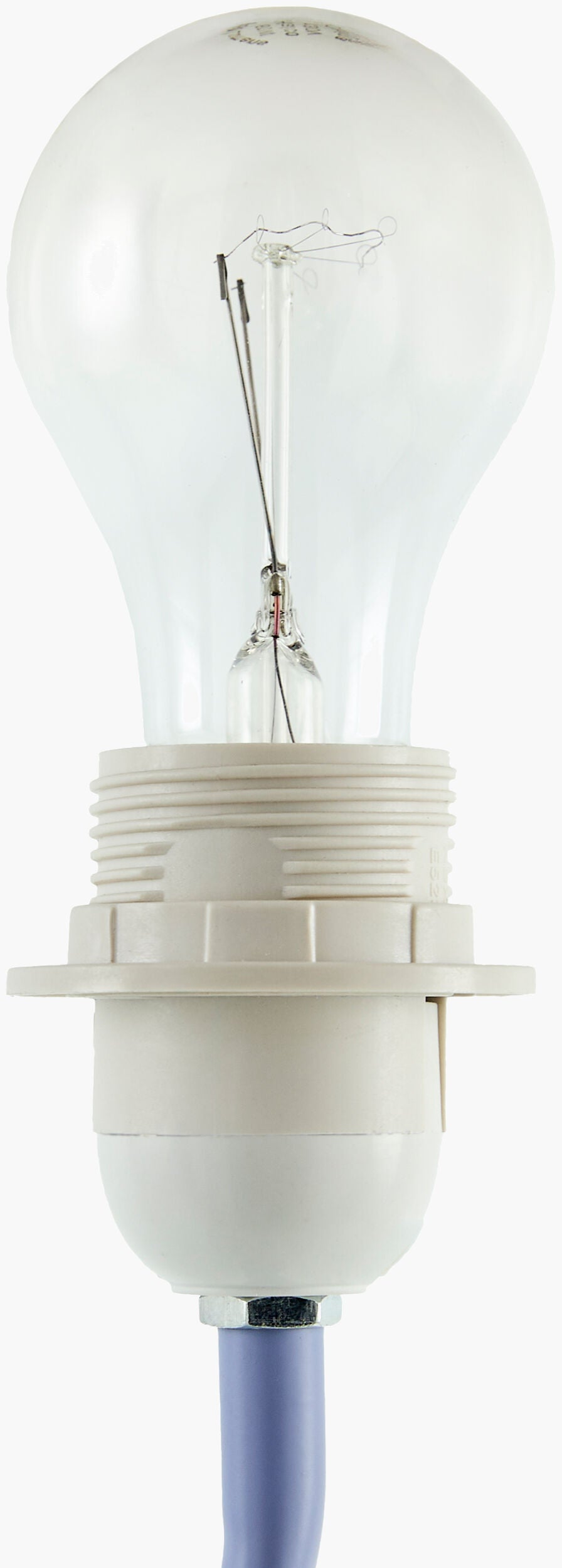Begonia Accent Table Lamp