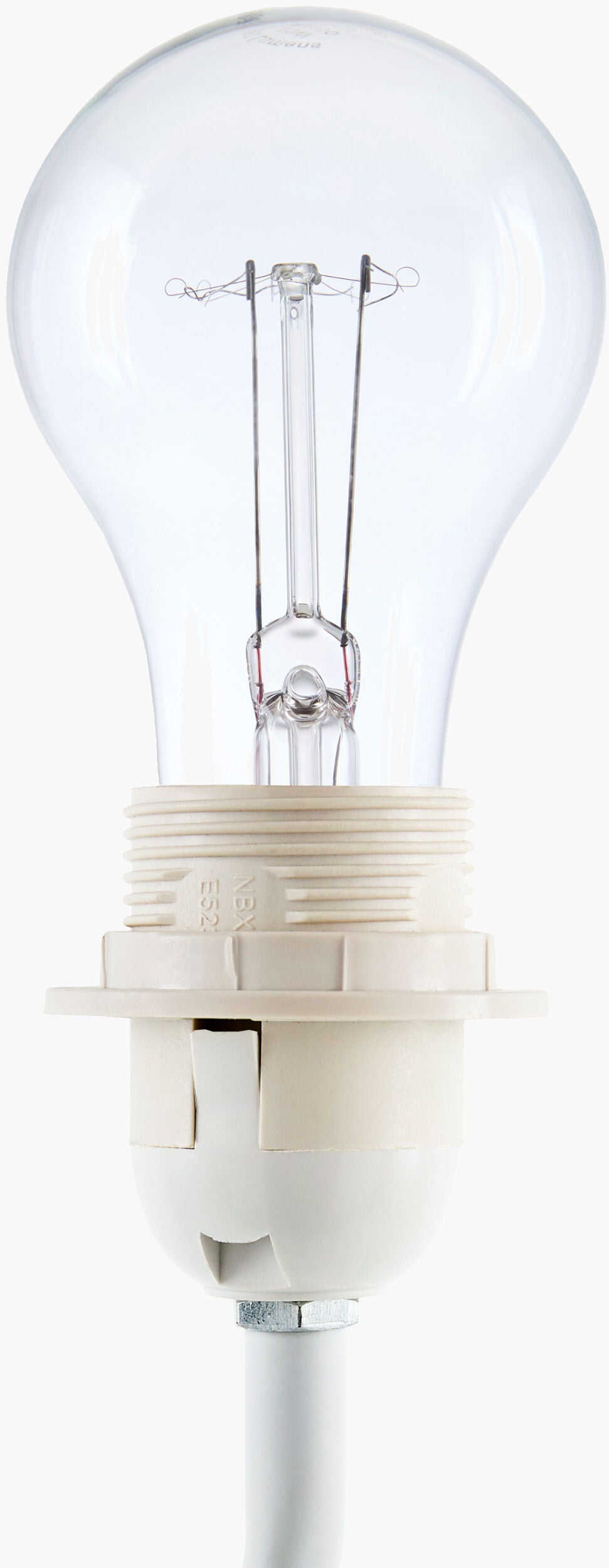 Begonia Accent Table Lamp