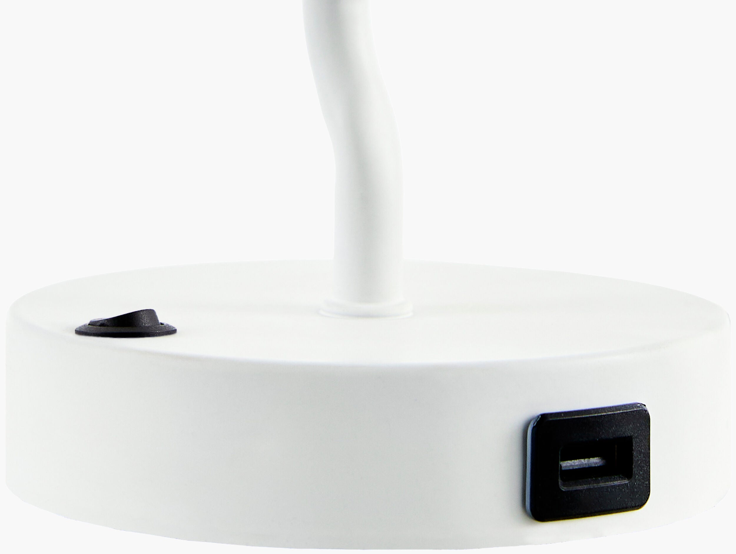 Begonia Accent Table Lamp