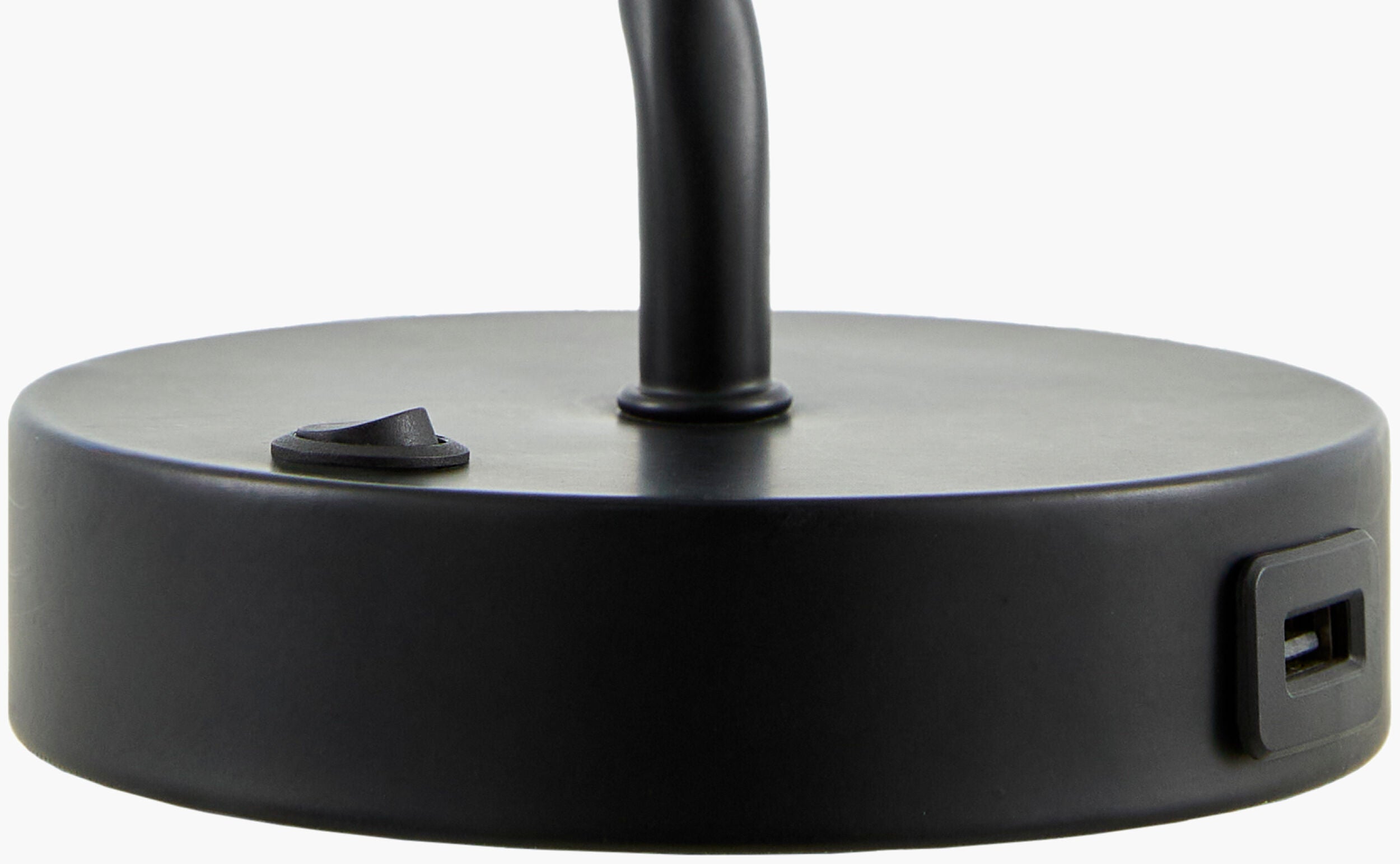 Begonia Accent Table Lamp