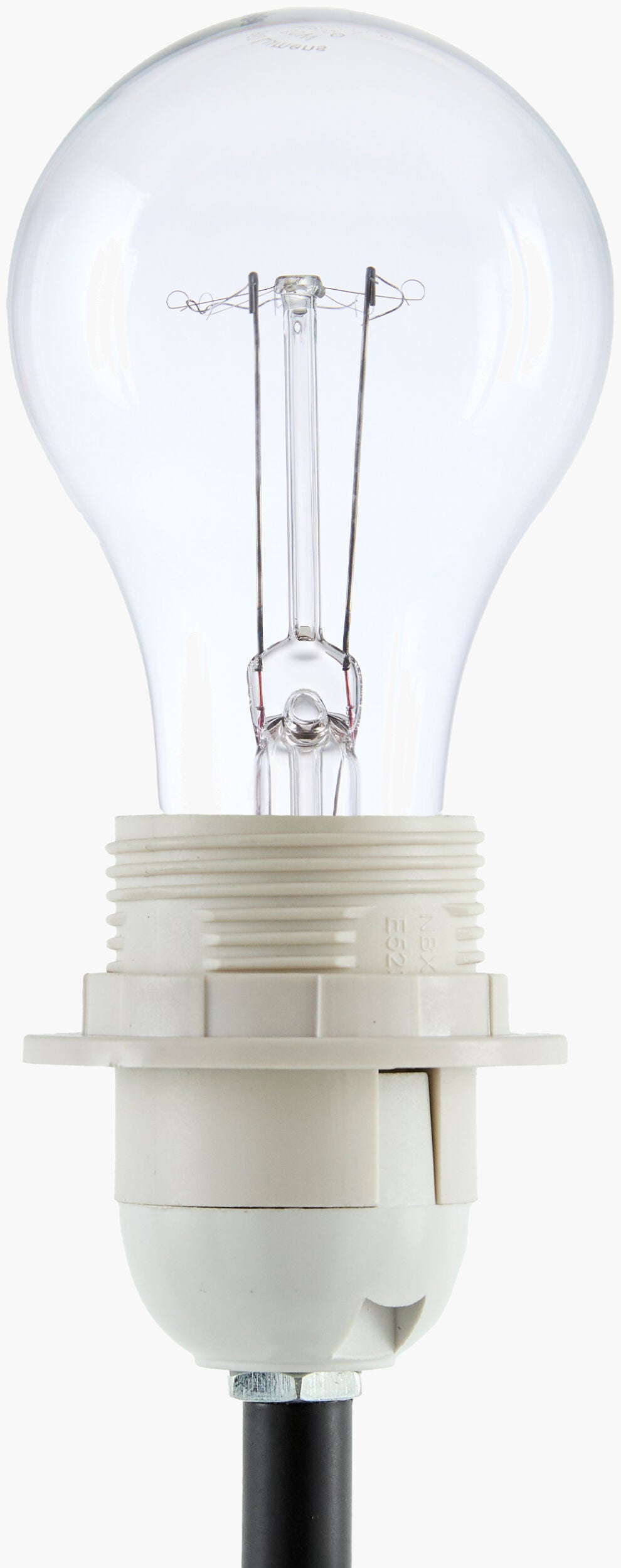 Begonia Accent Table Lamp