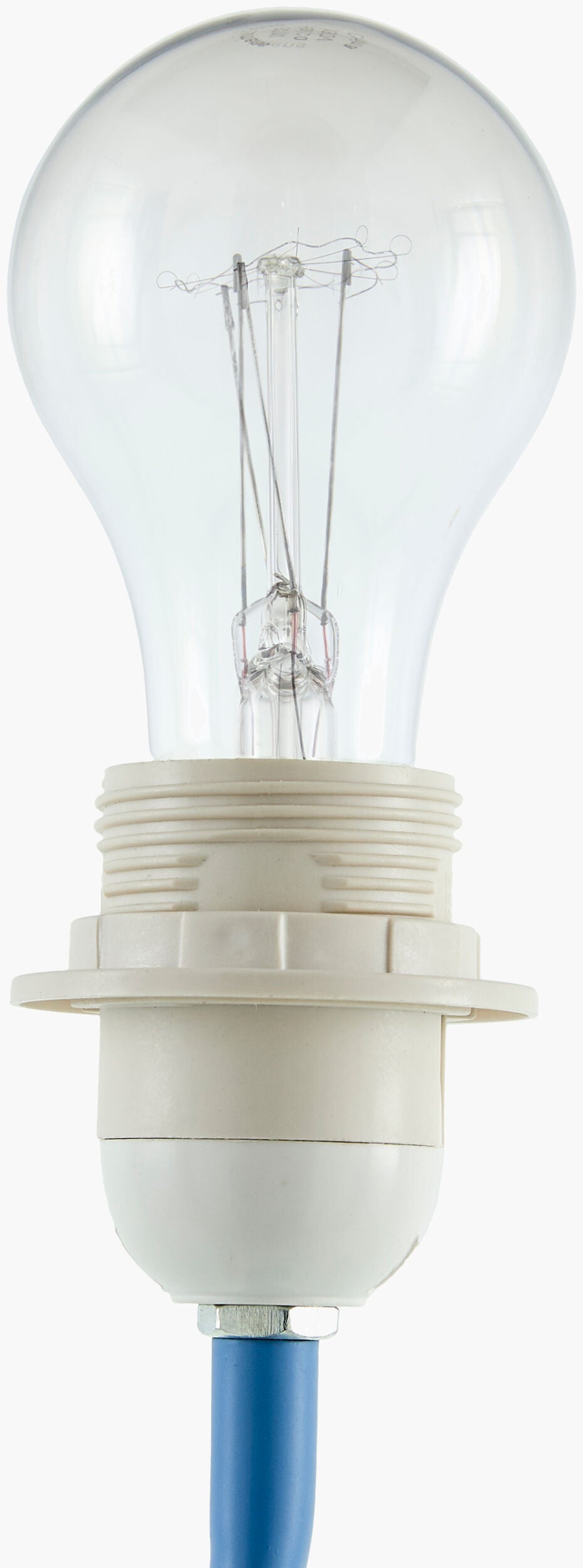 Begonia Accent Table Lamp