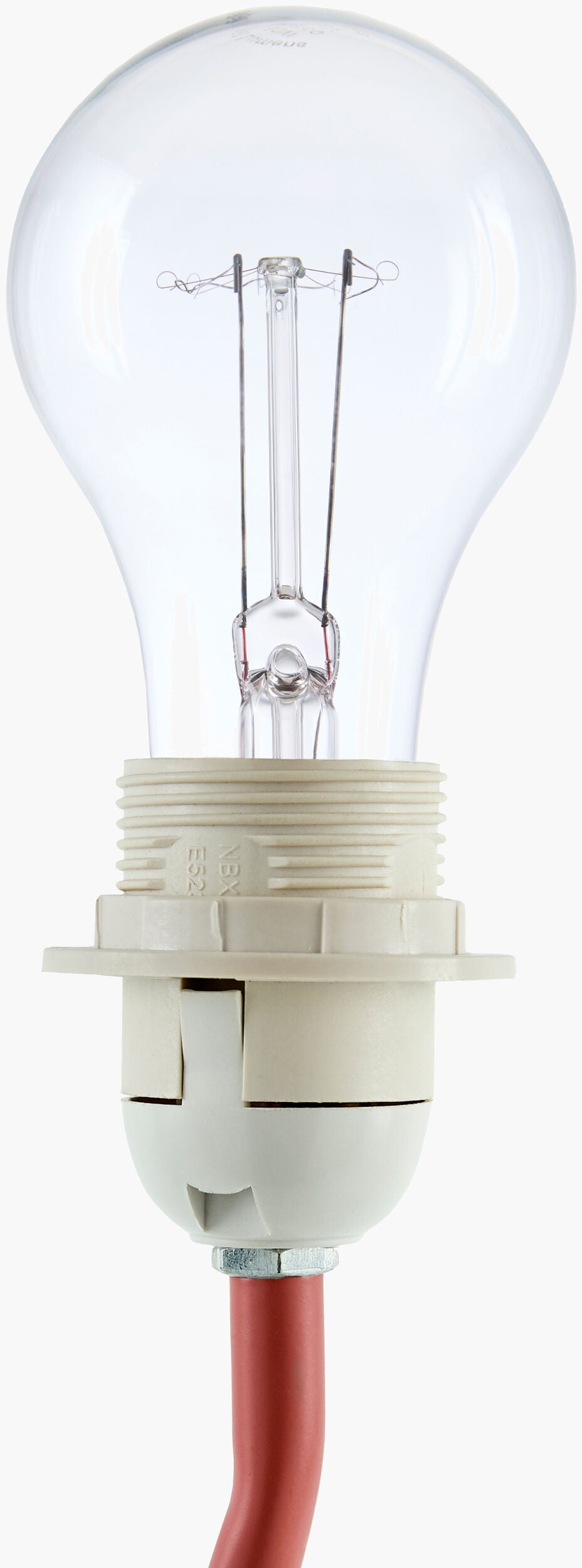 Begonia Accent Table Lamp