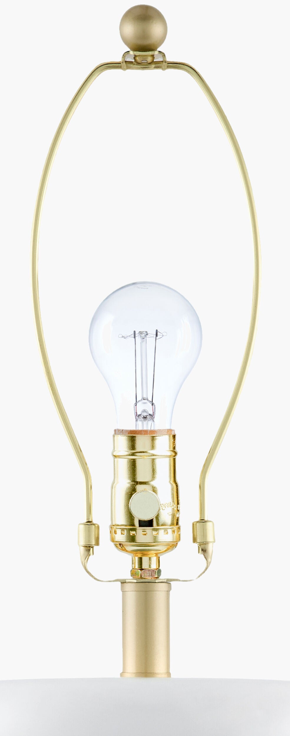 Brienza Accent Table Lamp