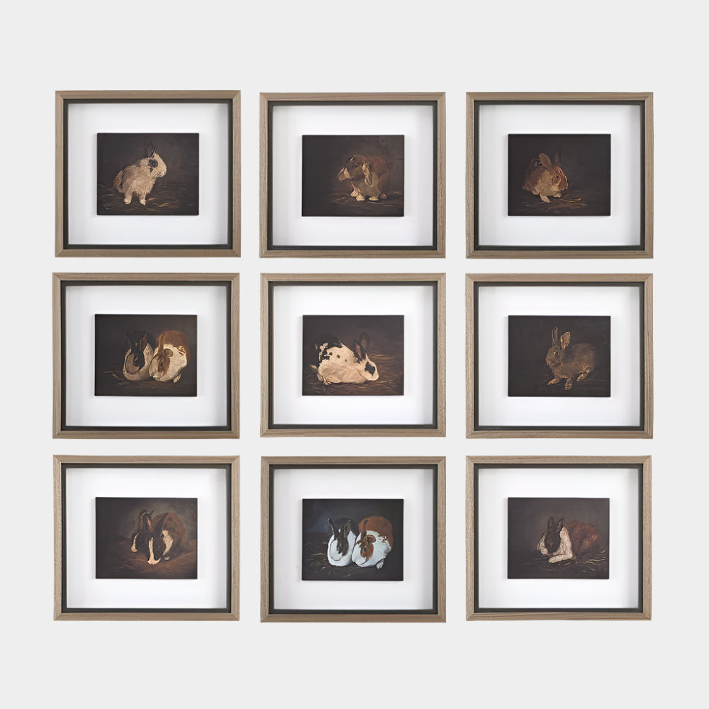 Resting Bunny Framed Prints, S/9