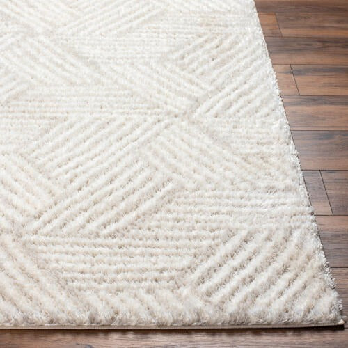 Cloudy Shag Machine Woven Rug
