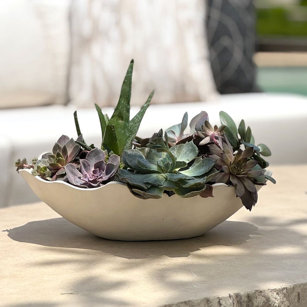 Obscura Outdoor Bowl