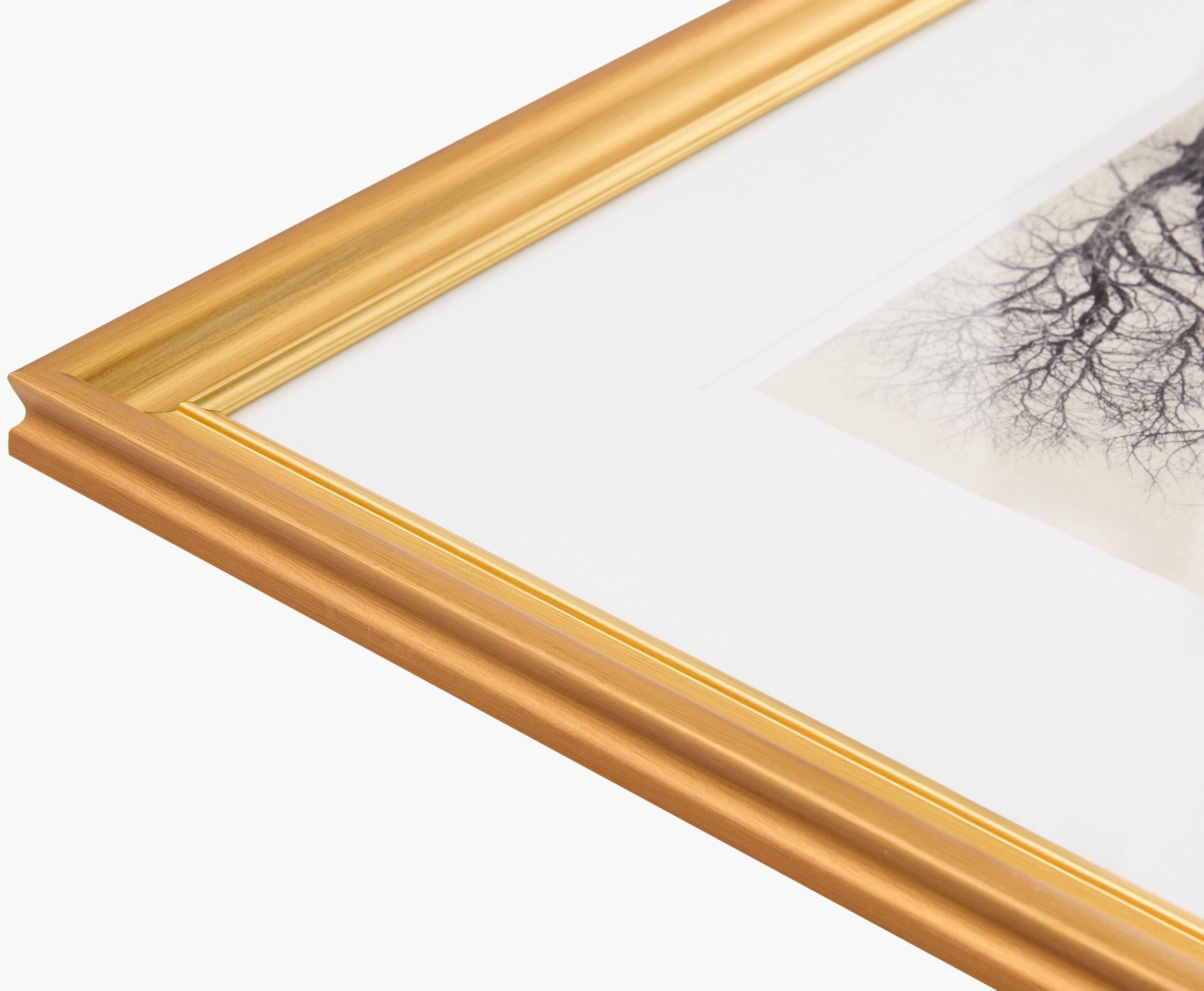 Coconino Framed Art