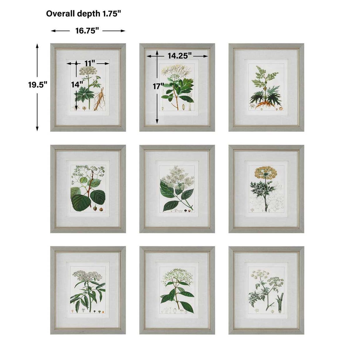 Antique Botanicals Framed Prints, S/9