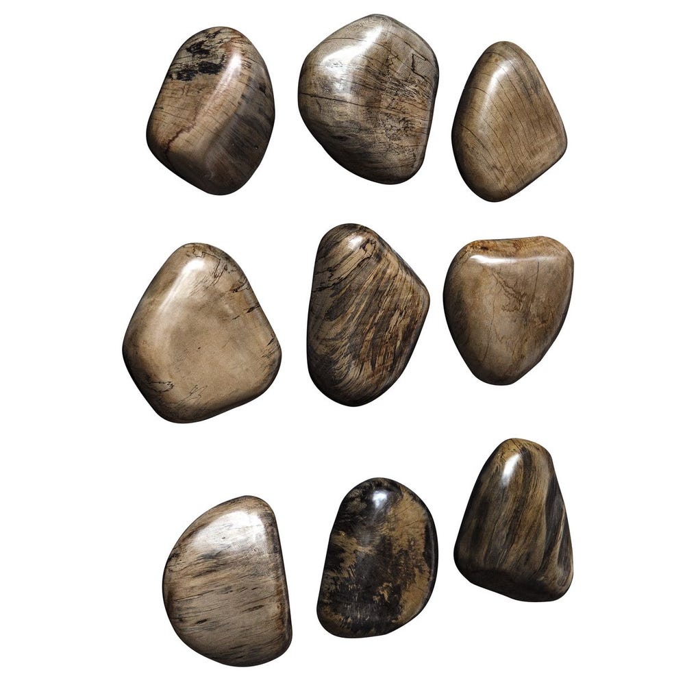Pebbles Wood Wall Decor, S/9