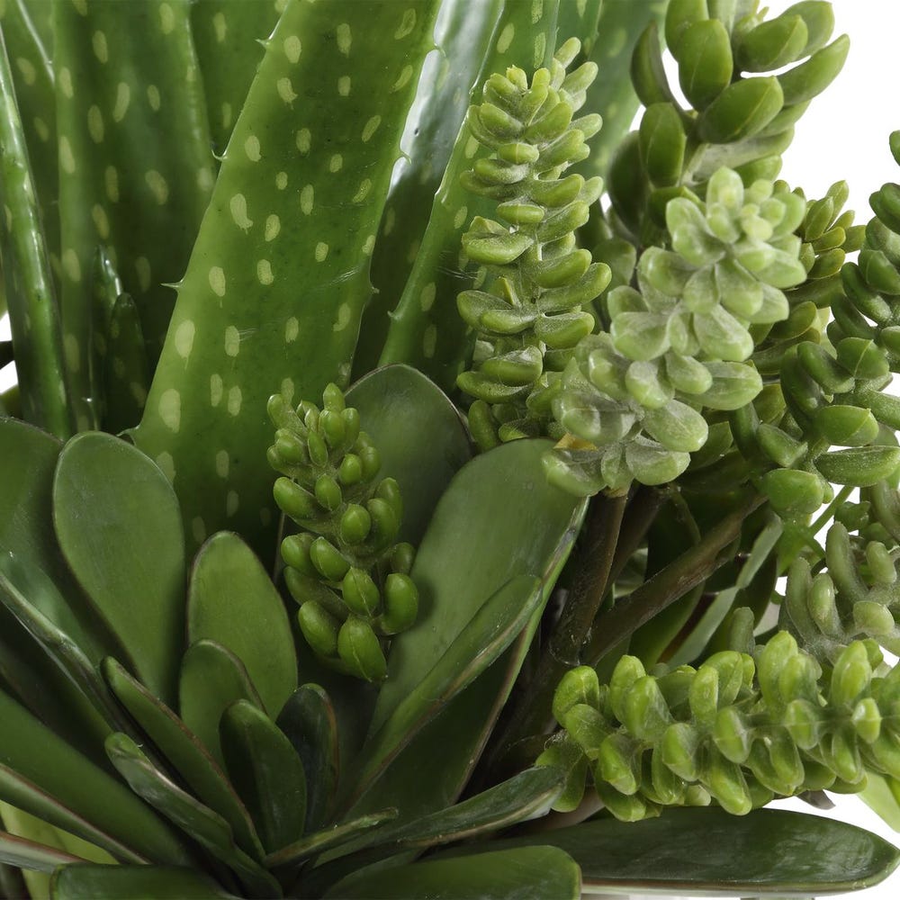 Sundown Succulent Accent