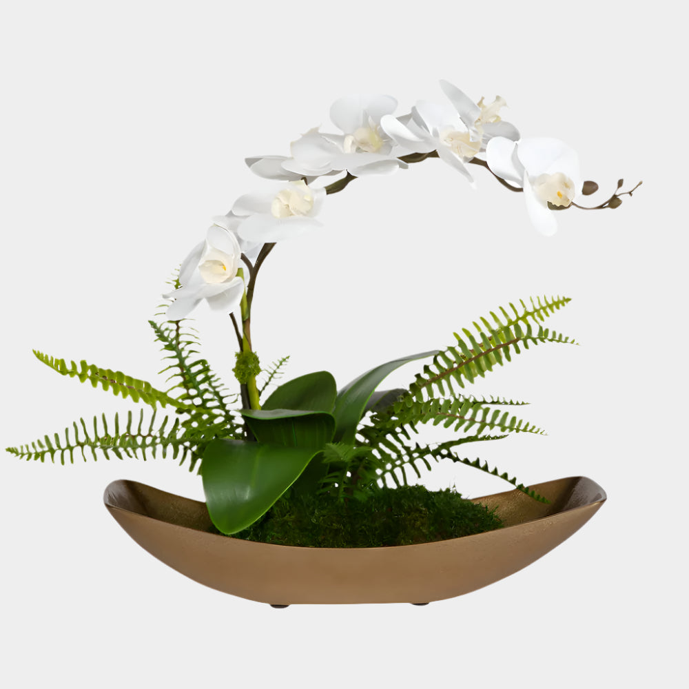 Transcend Orchid