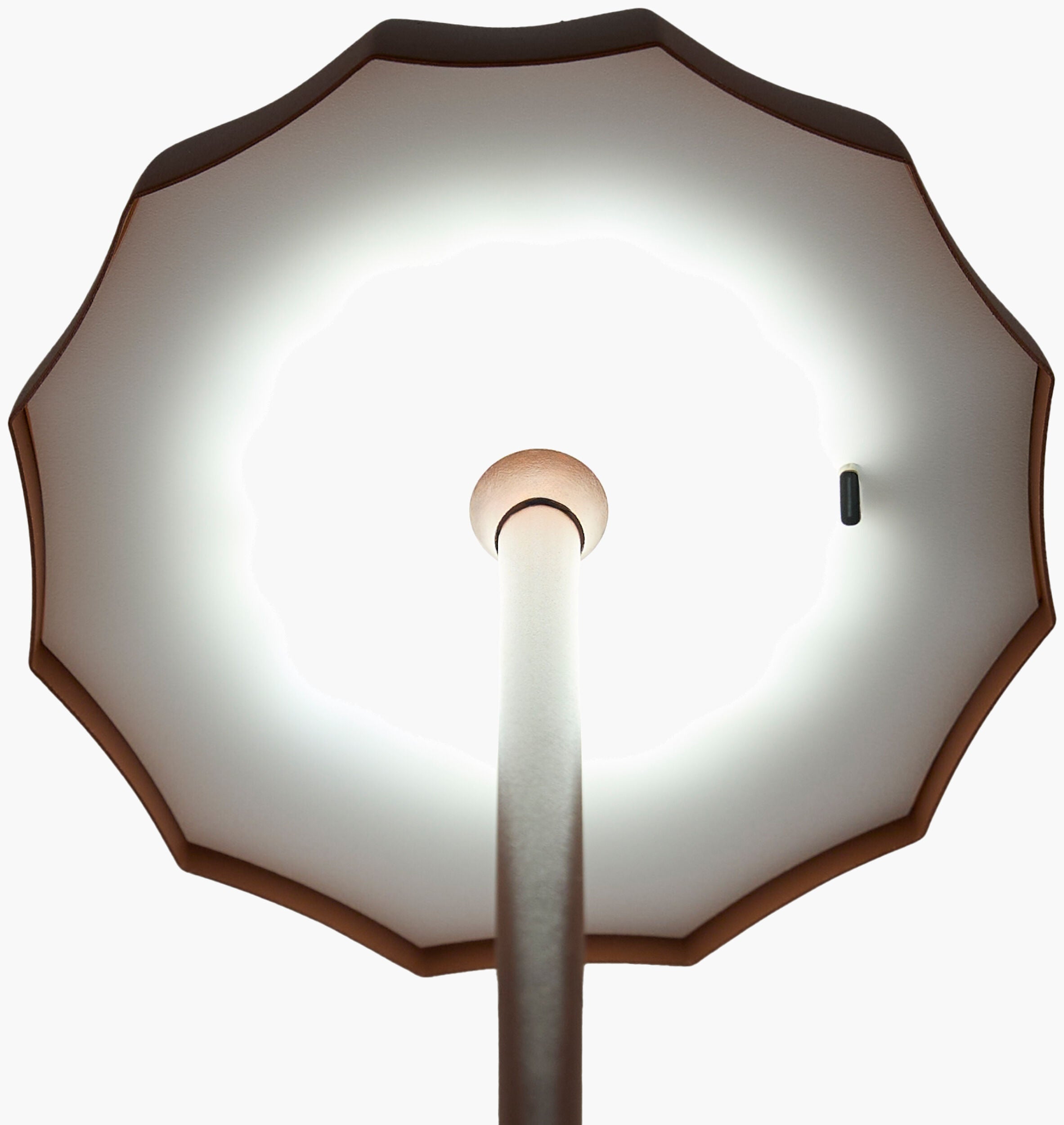Furnas Accent Table Lamp