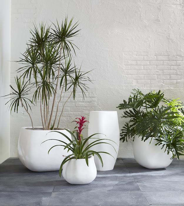 Amorphous Planter, Small, White