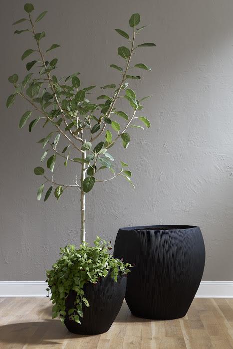 Filament Planter, Black, MD
