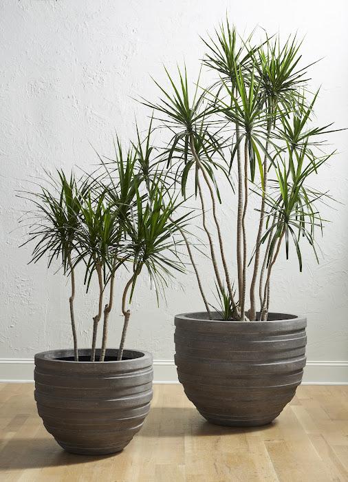 June Planter, Raw Gray, SM