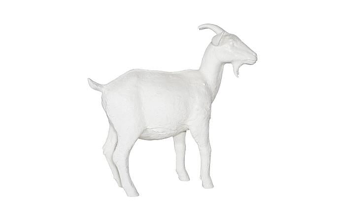 Chèvre, blanc cassé