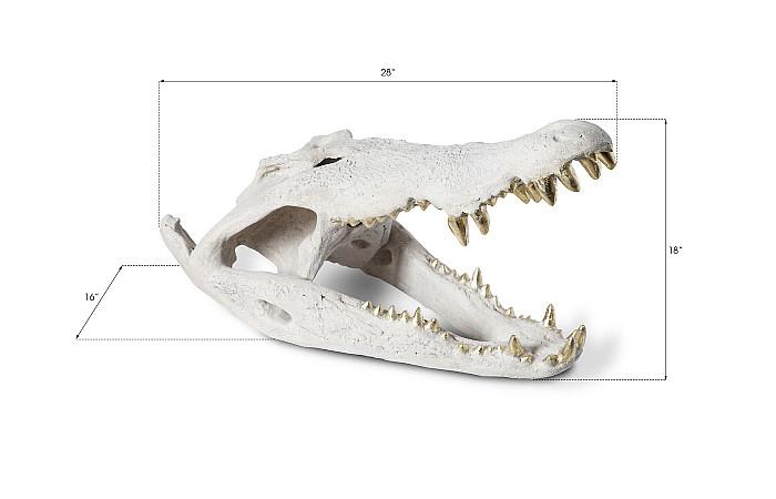 Crâne de crocodile, pierre romaine, feuille d'or