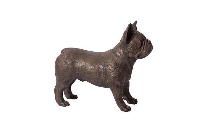 Bouledogue français, Bronze
