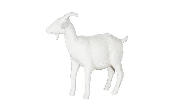 Chèvre, blanc cassé