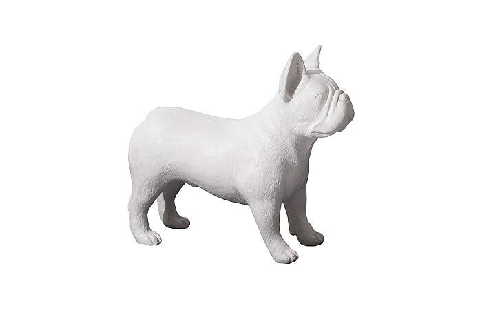 Bouledogue français, Gel Coat Blanc