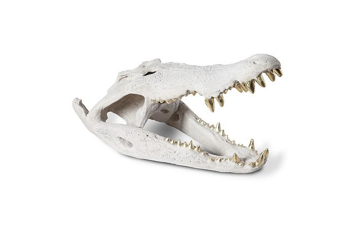 Crâne de crocodile, pierre romaine, feuille d'or