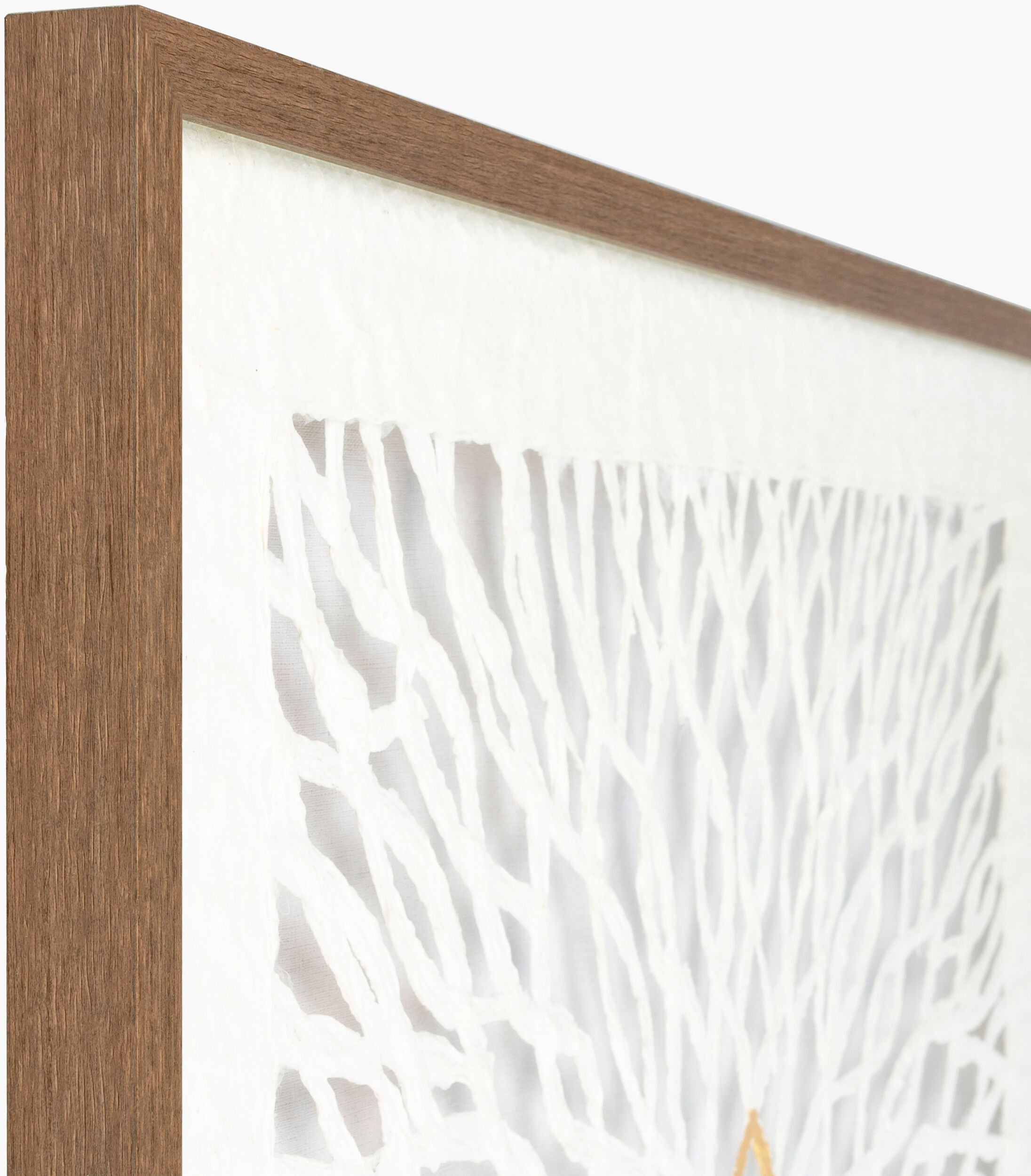 Kaagaz Framed Art