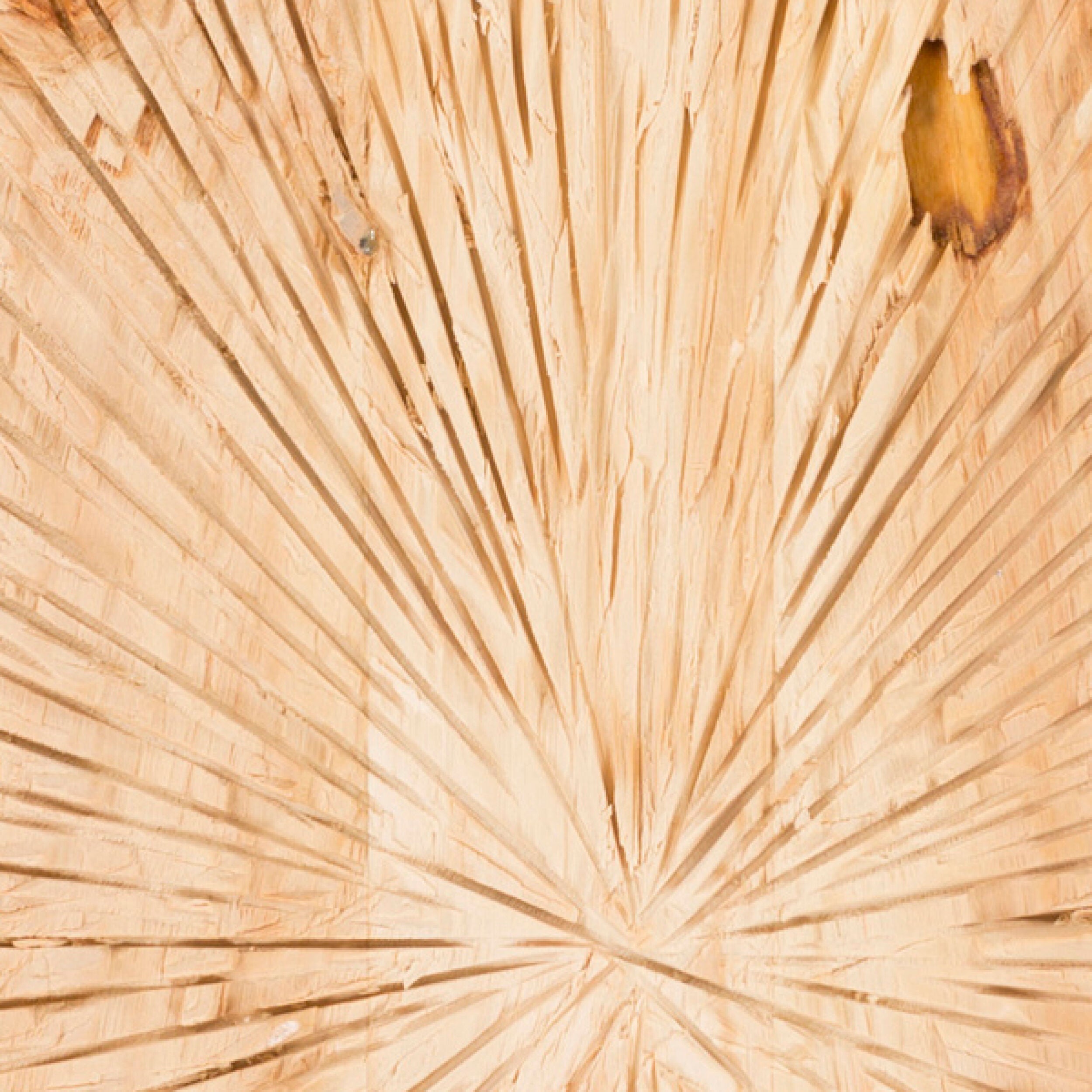 Surya Wall Decor Dimensional Wall Accent