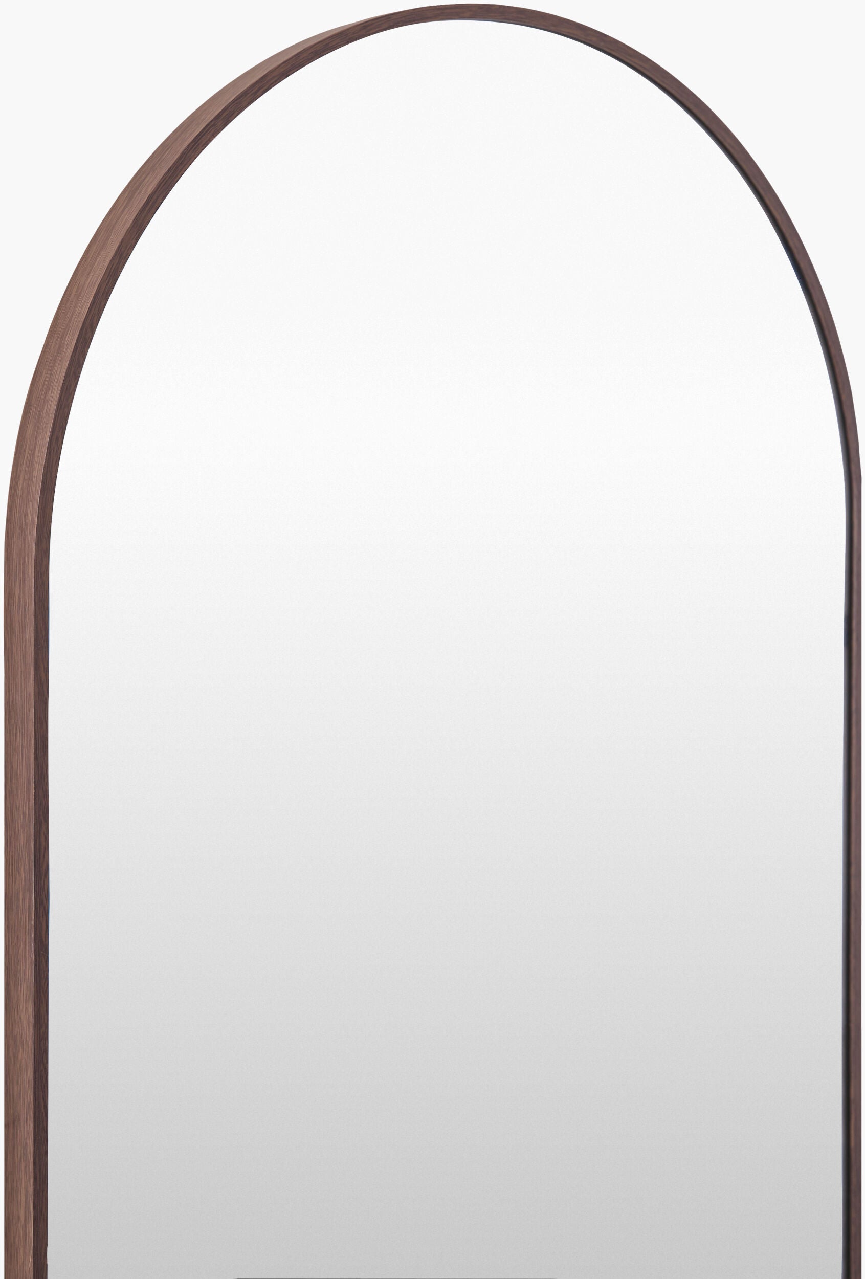 Aranya Accent Mirror