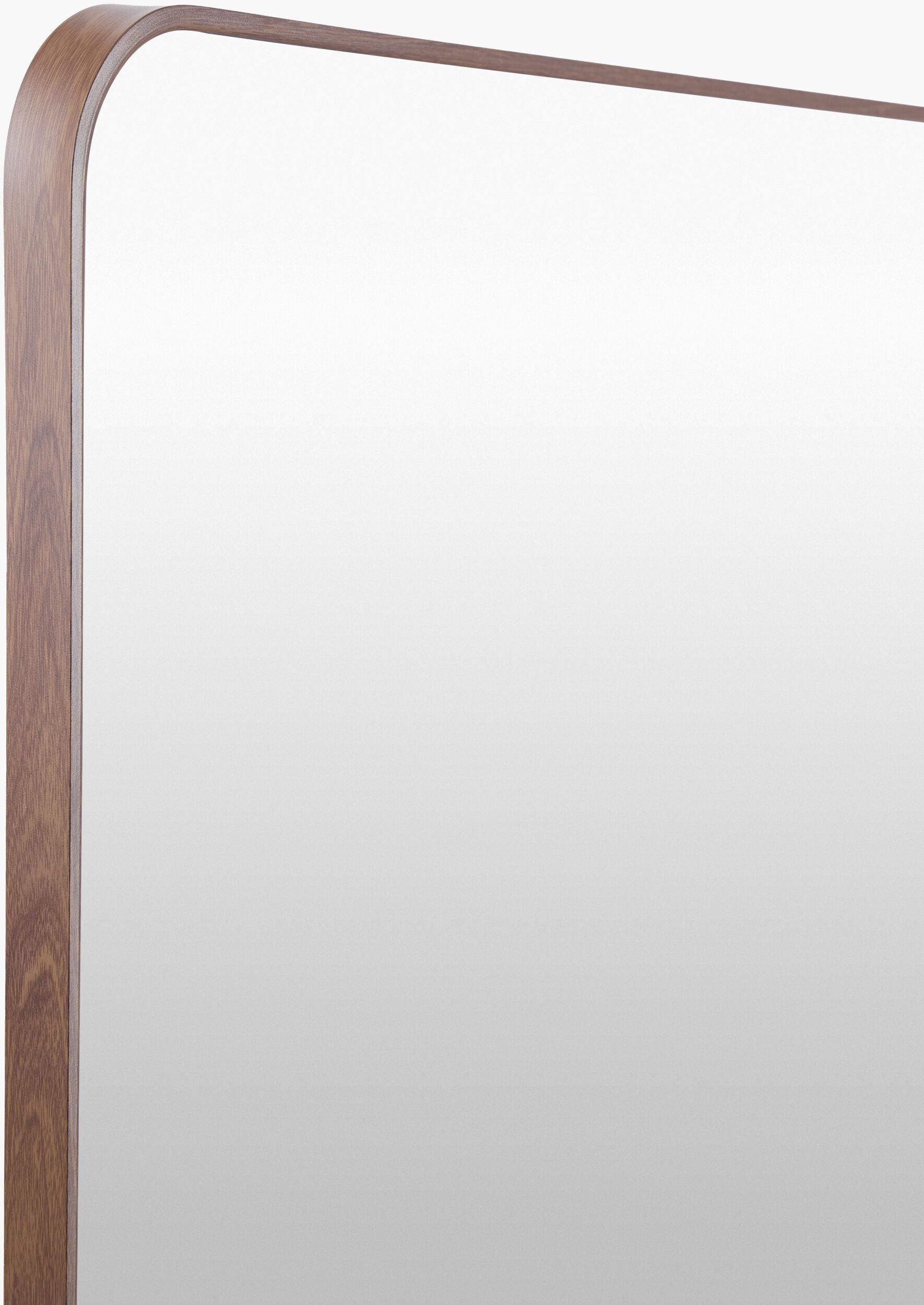 Aranya Accent Mirror