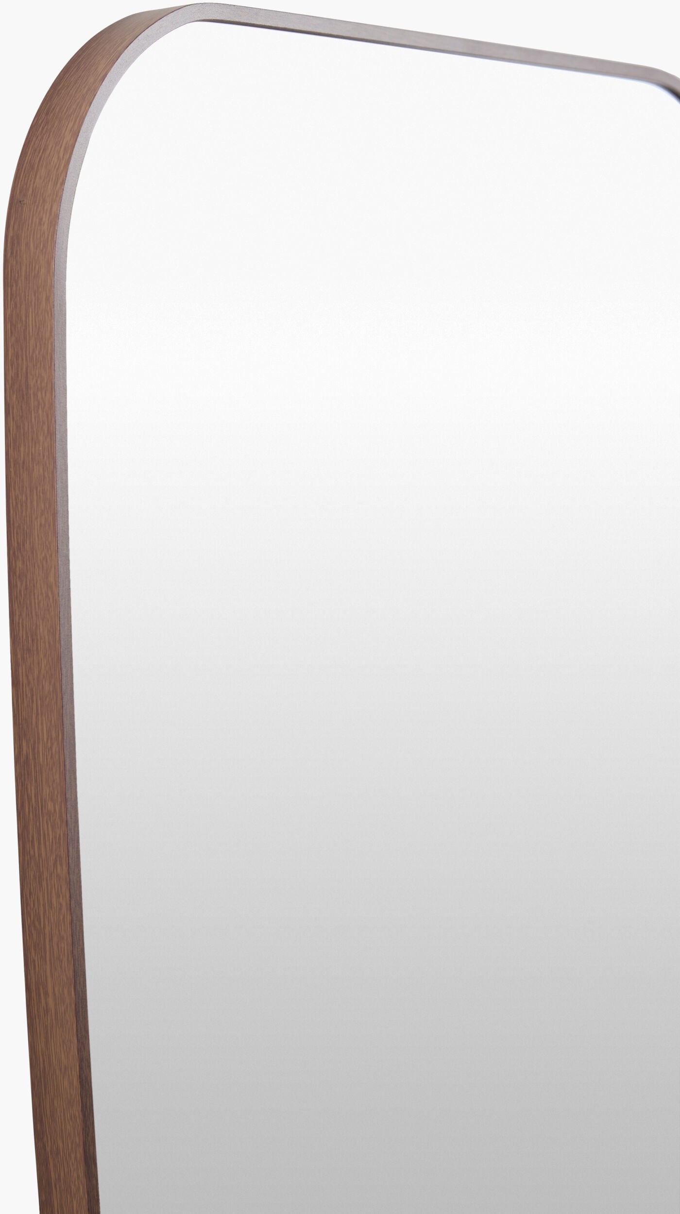 Aranya Accent Mirror