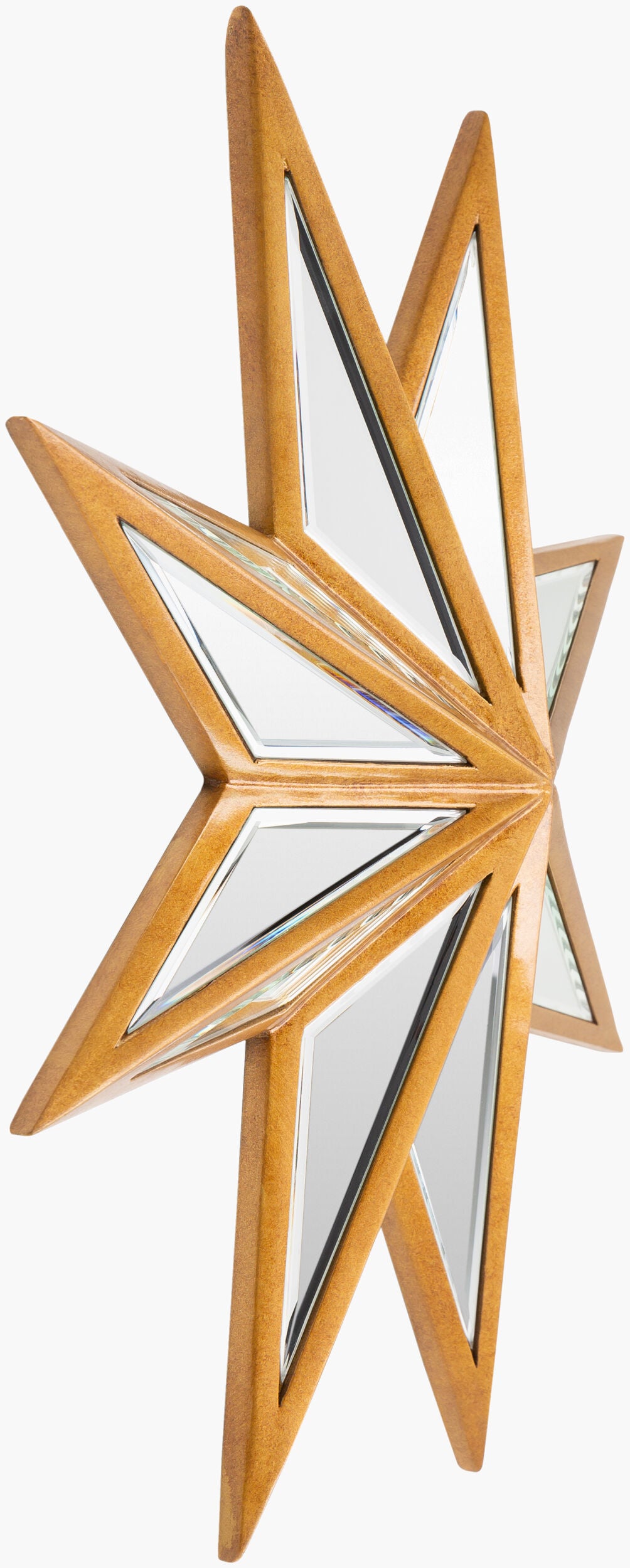 Starfish Mirror
