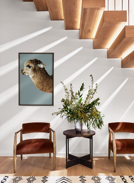 Edith Upholstered Velvet Arm Chair