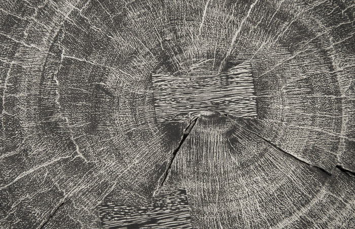 Curved Wood Stool, Thin Gray Stone