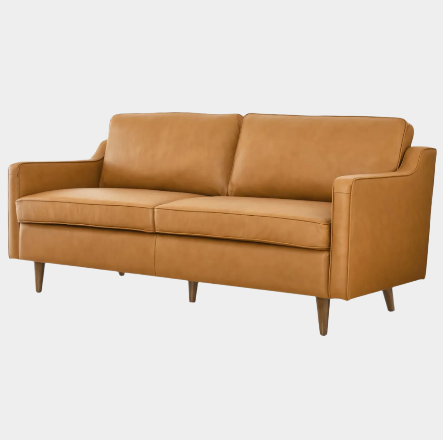Stardust Leather Sofa