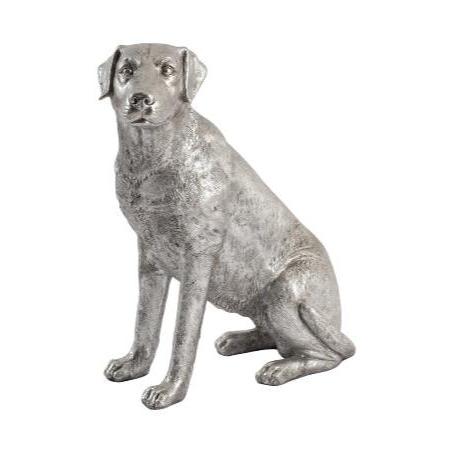 Labrador Dog, Sitting, Silver Leaf