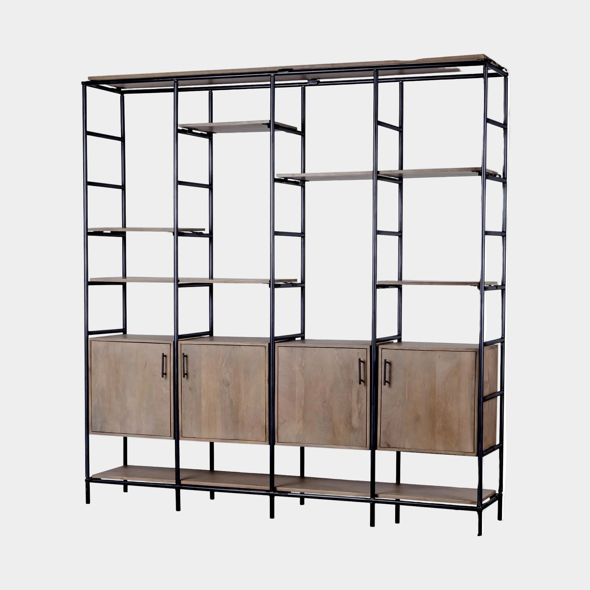 Darius Shelving Unit