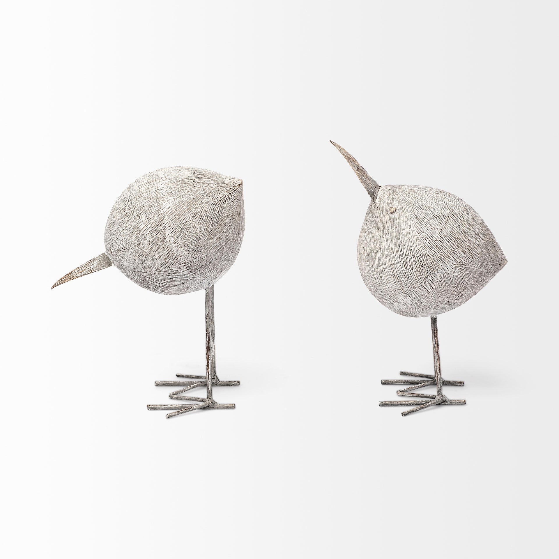 Snipe Sandpiper Bird Object