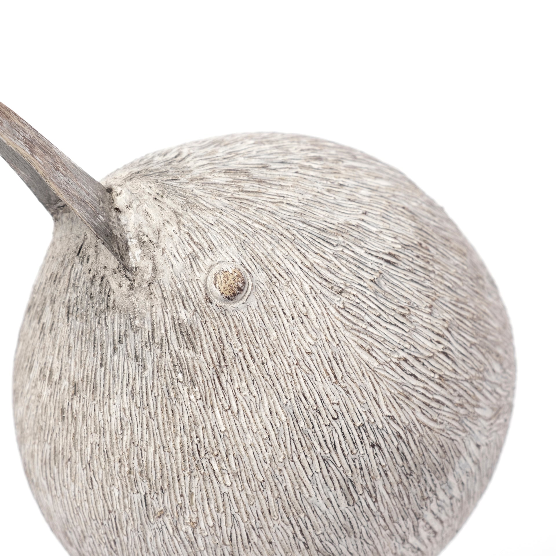 Snipe Sandpiper Bird Object