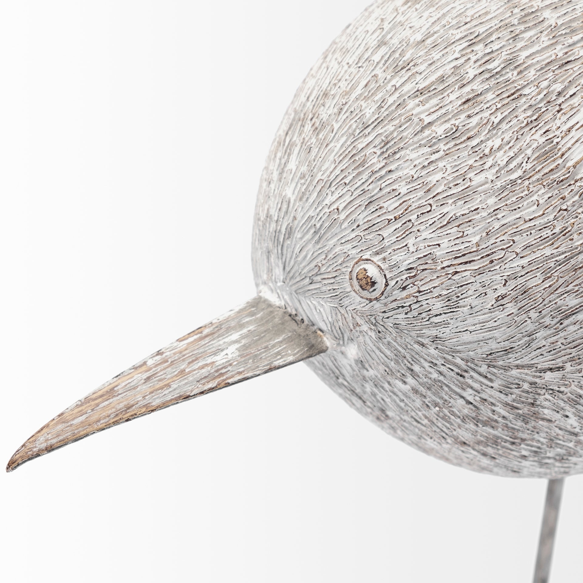 Snipe Sandpiper Bird Object