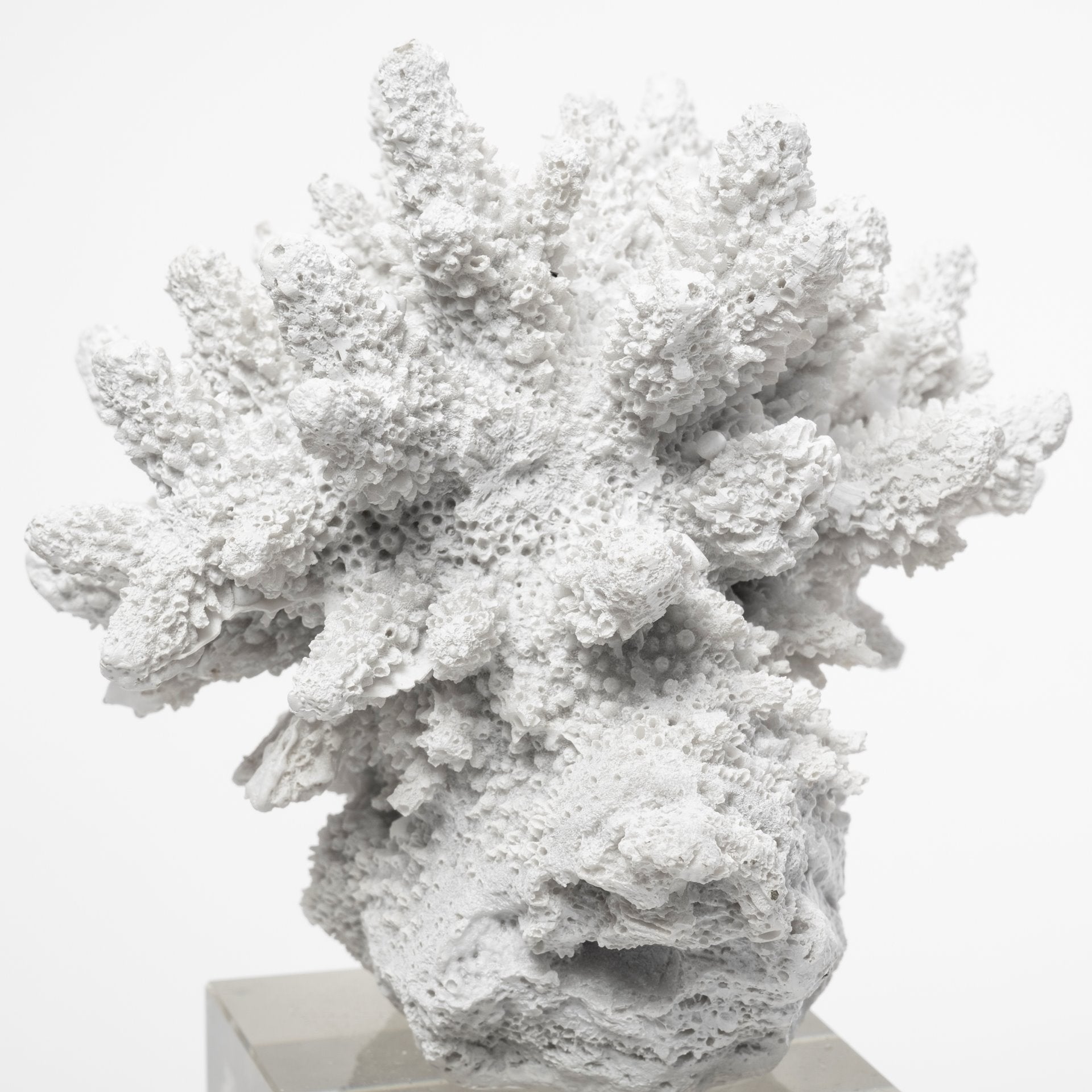 Isla Object