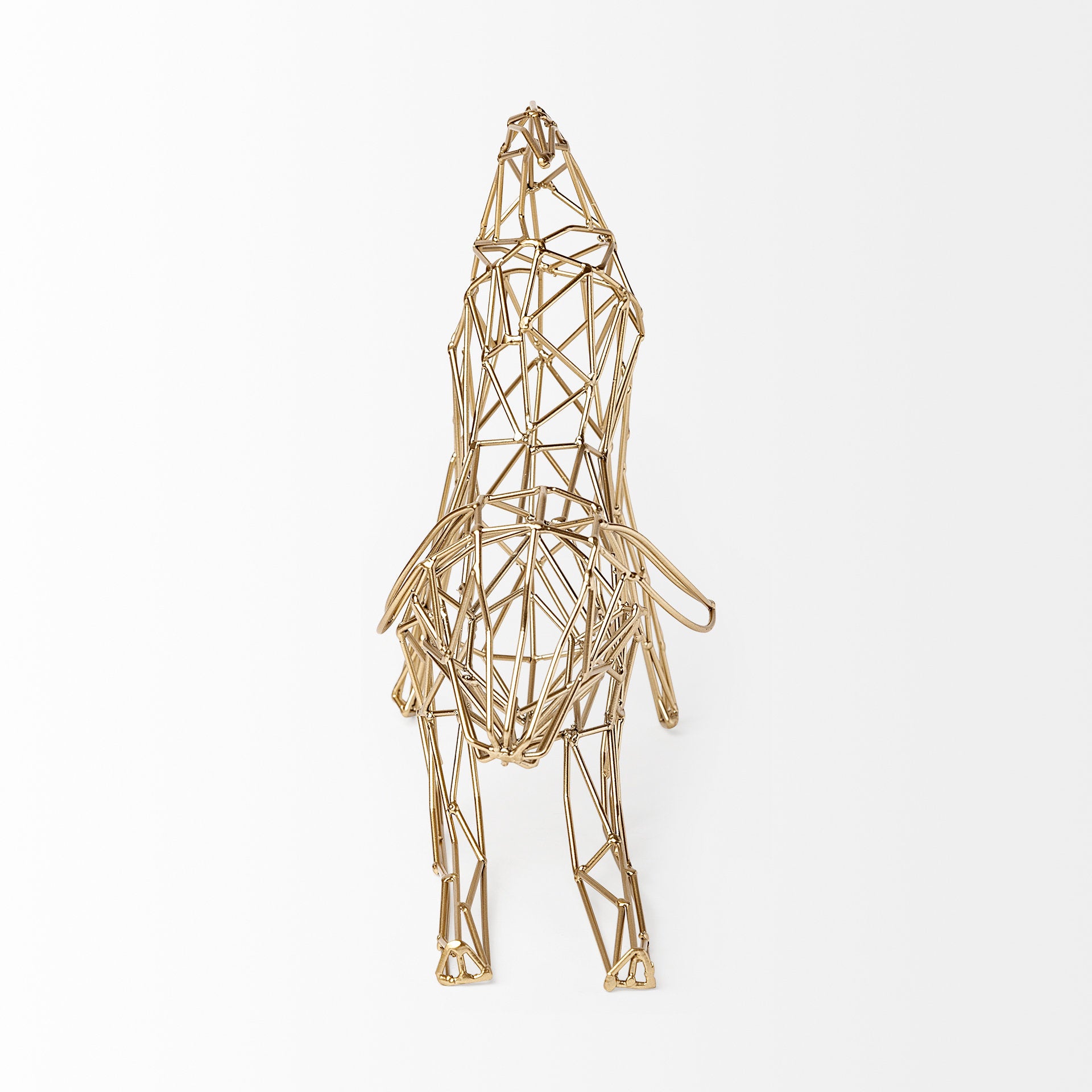 Frankie Object
