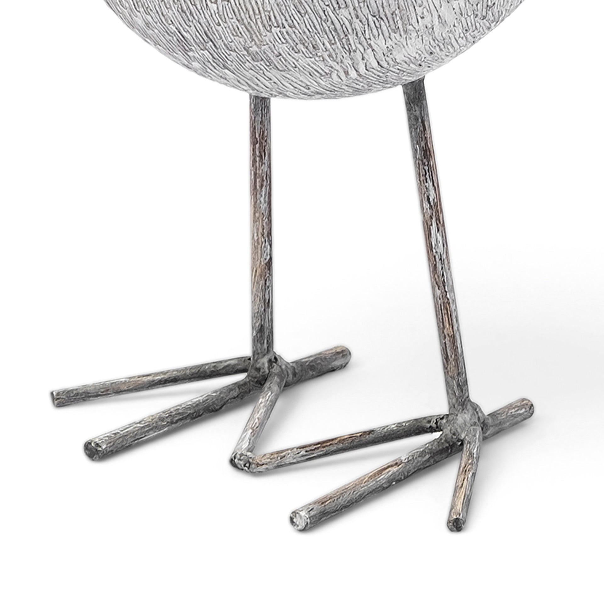 Snipe Sandpiper Bird Object