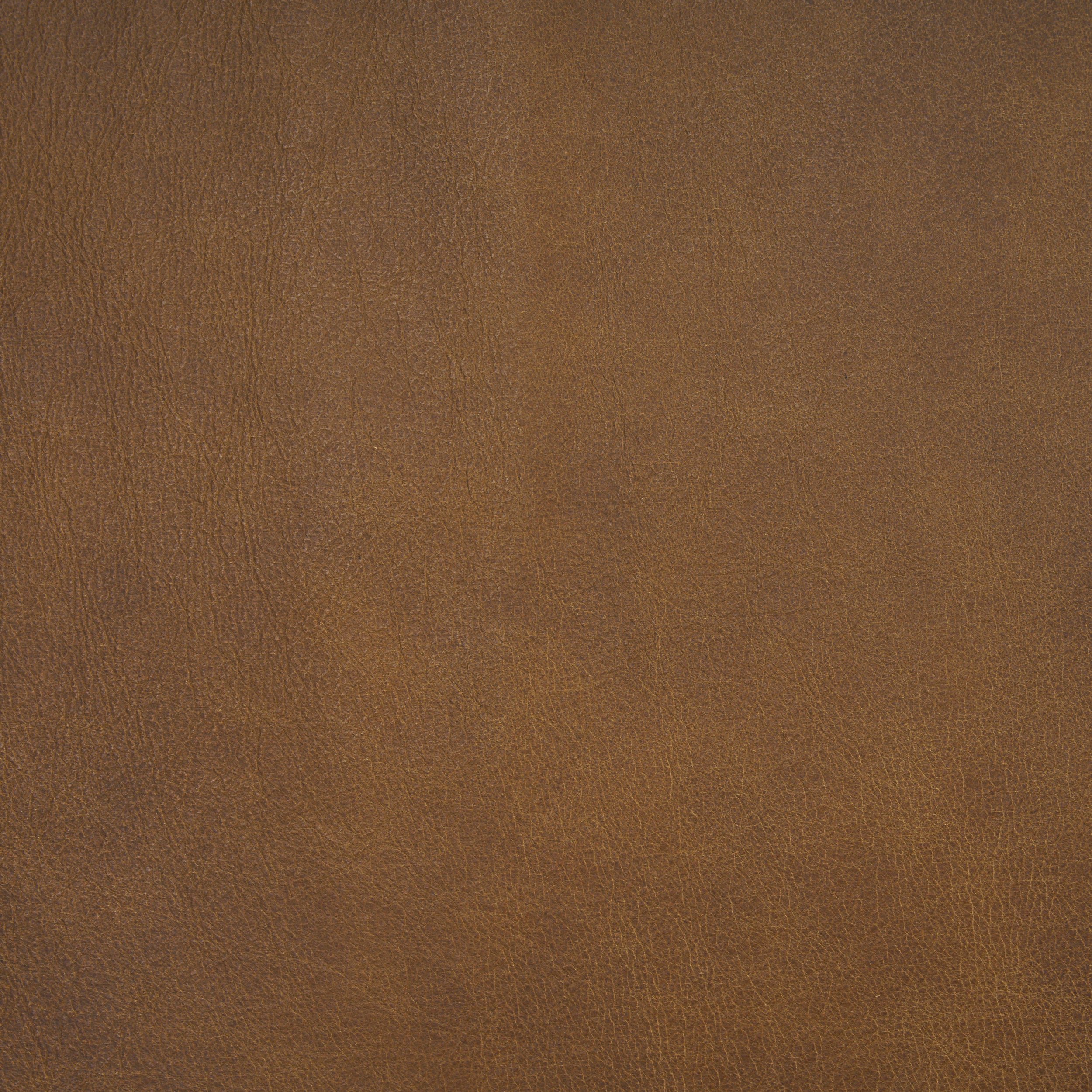 Berbick Leather Dining Chair