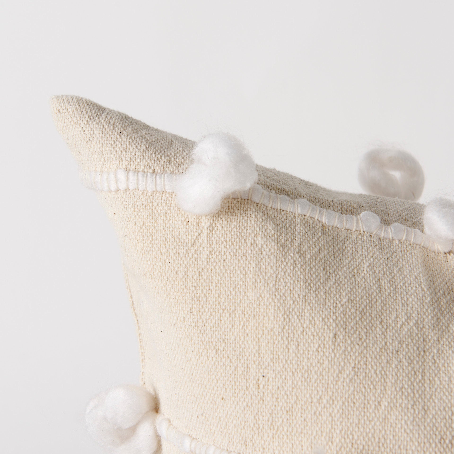 Erica Throw Pillow
